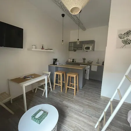 Apartment Vieil Et Mezzanine Proche De La *